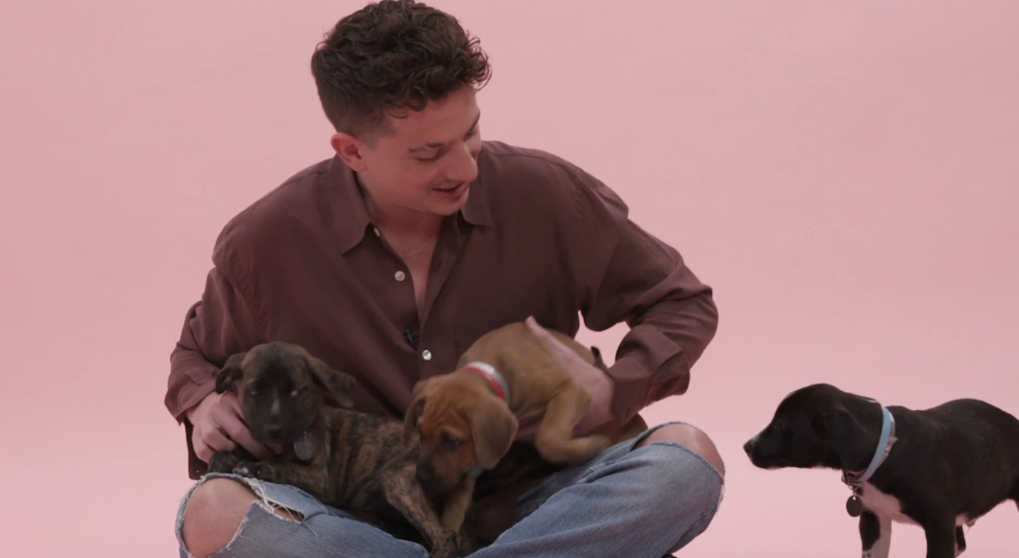 Charlie Puth Puppy Interview - 13