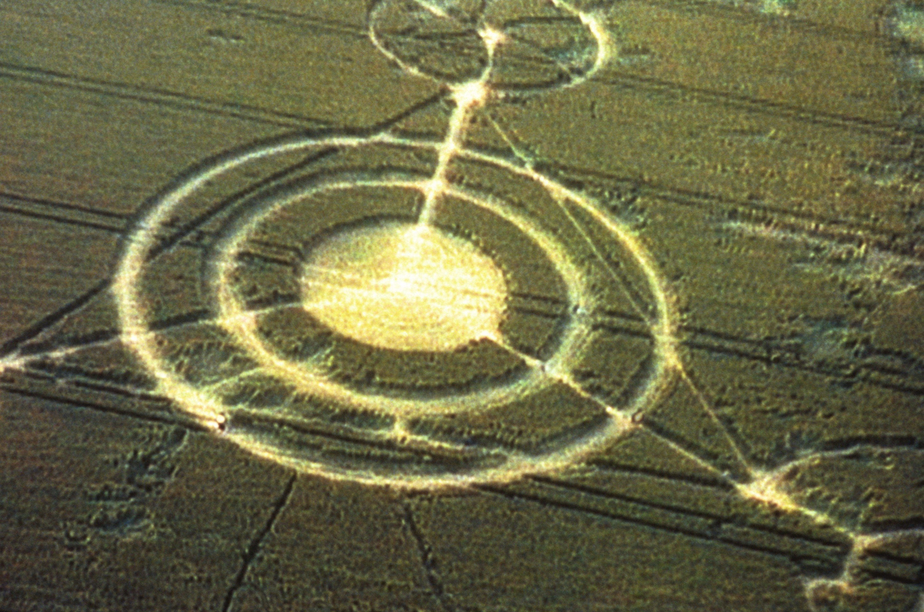 A crop circle