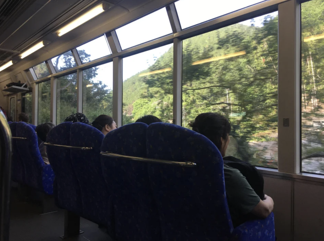 The train passes through trees as passengers look on