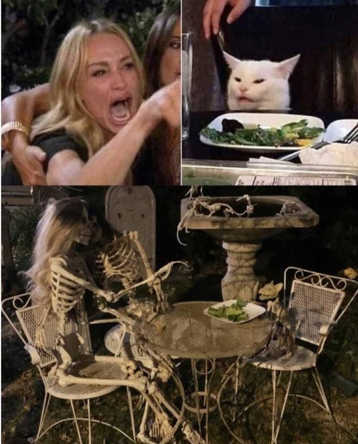 2 human skeletons and a cat skeleton at a table outside