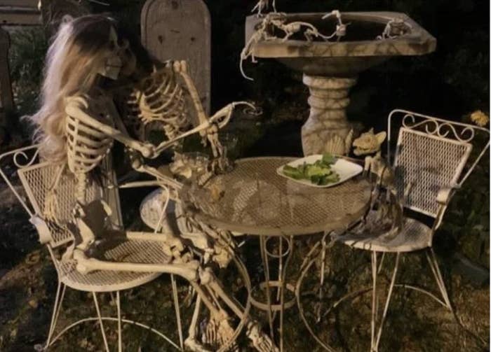closeup with a plate of salad in front of the skeleton cat