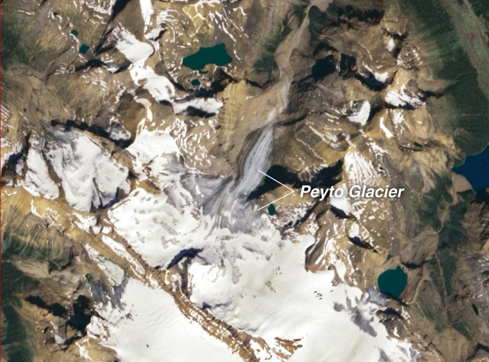 The Peyto Glacier in Canada shrinks