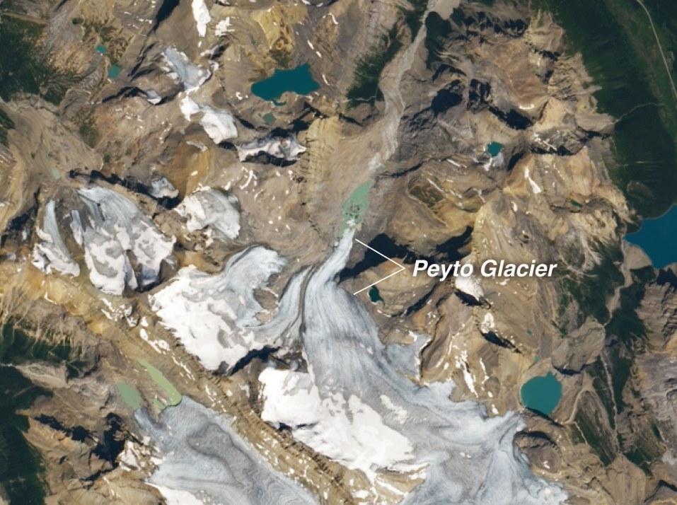 The Peyto Glacier in Canada shrinks