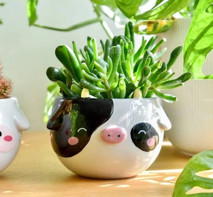 the cow planter on a wooden surface