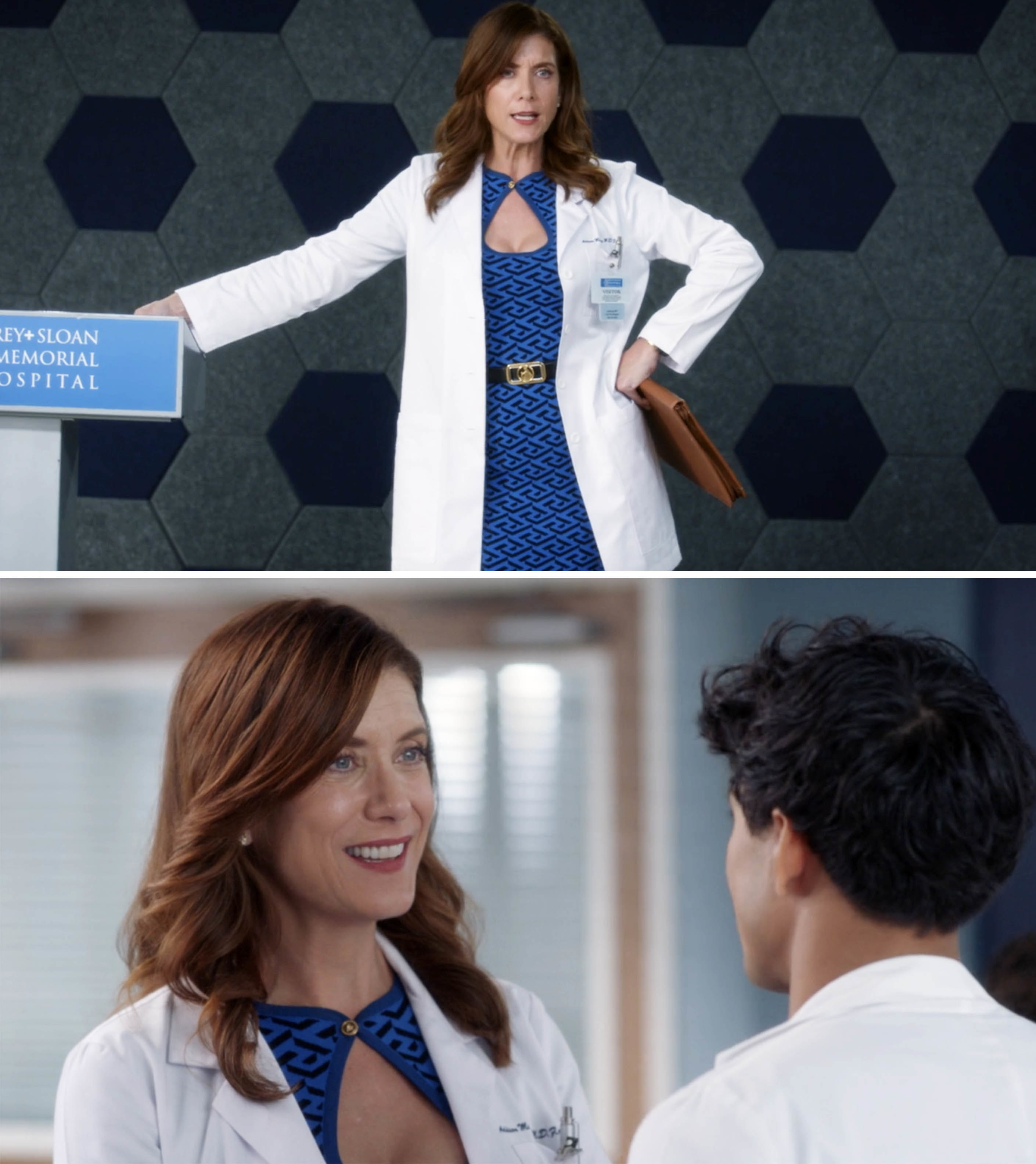 Addison Montgomery speaking by a podium and then talking to a young doctor
