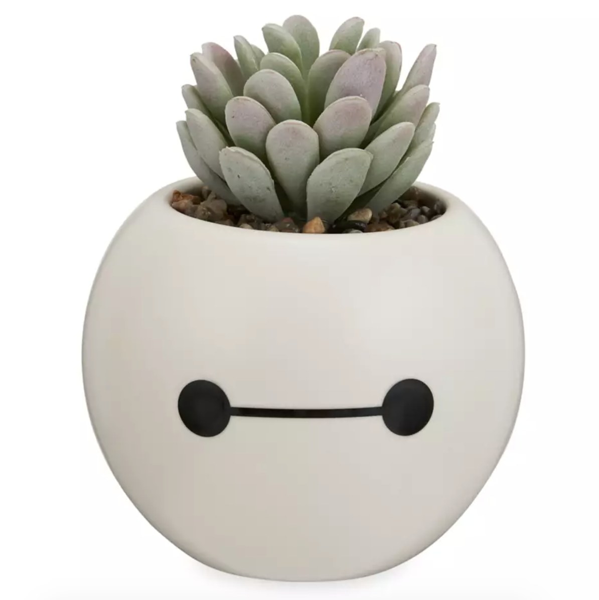 the Baymax planter which looks like Baymax&#x27;s head