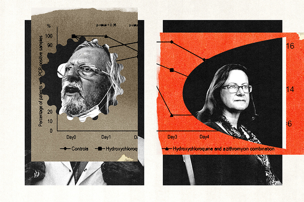 A Data Sleuth Challenged A Powerful COVID Scientist. Then He Came After Her.