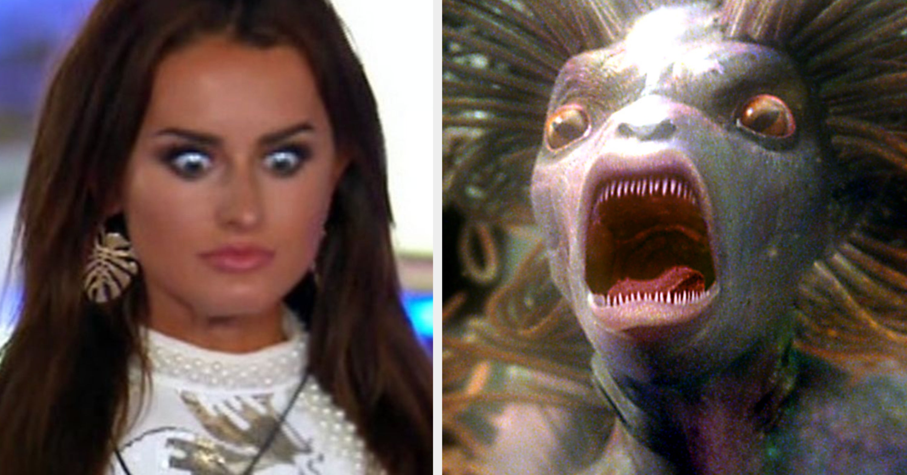 If You Were A Scary Monster, What Kind Would You Be?