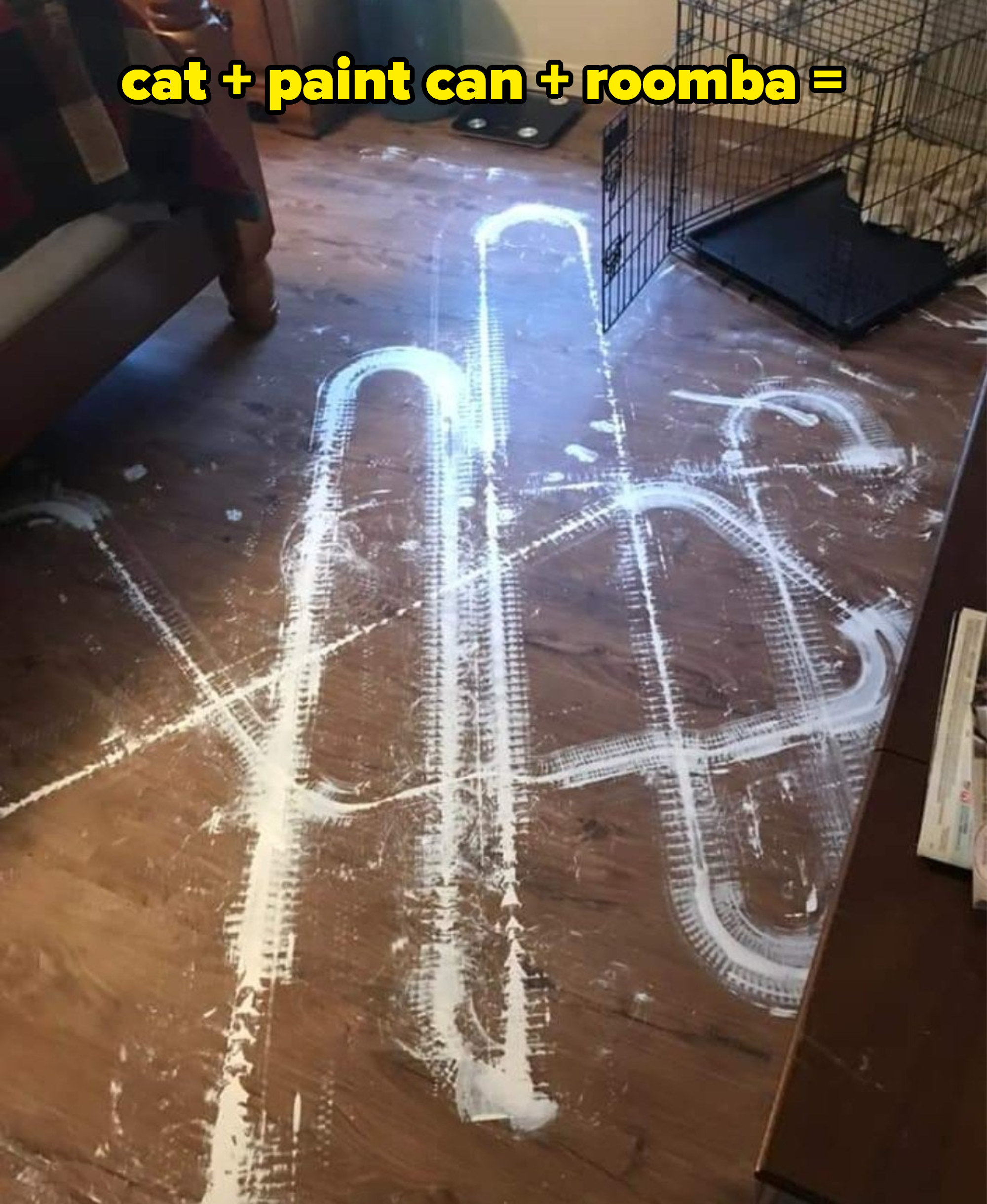 White paint on a wood floor in random paths, created by cat and a Roomba