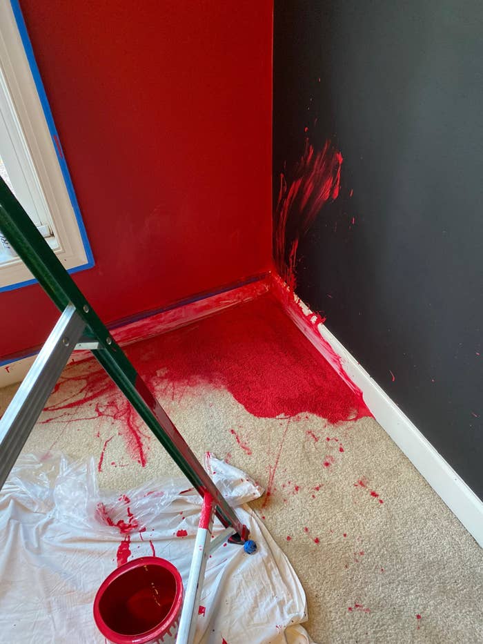 Red paint spill on a light carpet and a black wall