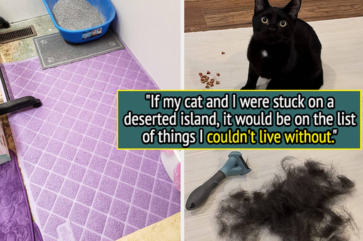 25 Products Under $25 Cat Owners Can't Live Without