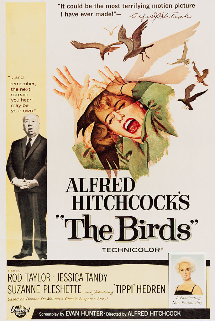 the movie poster with birds attacking a woman