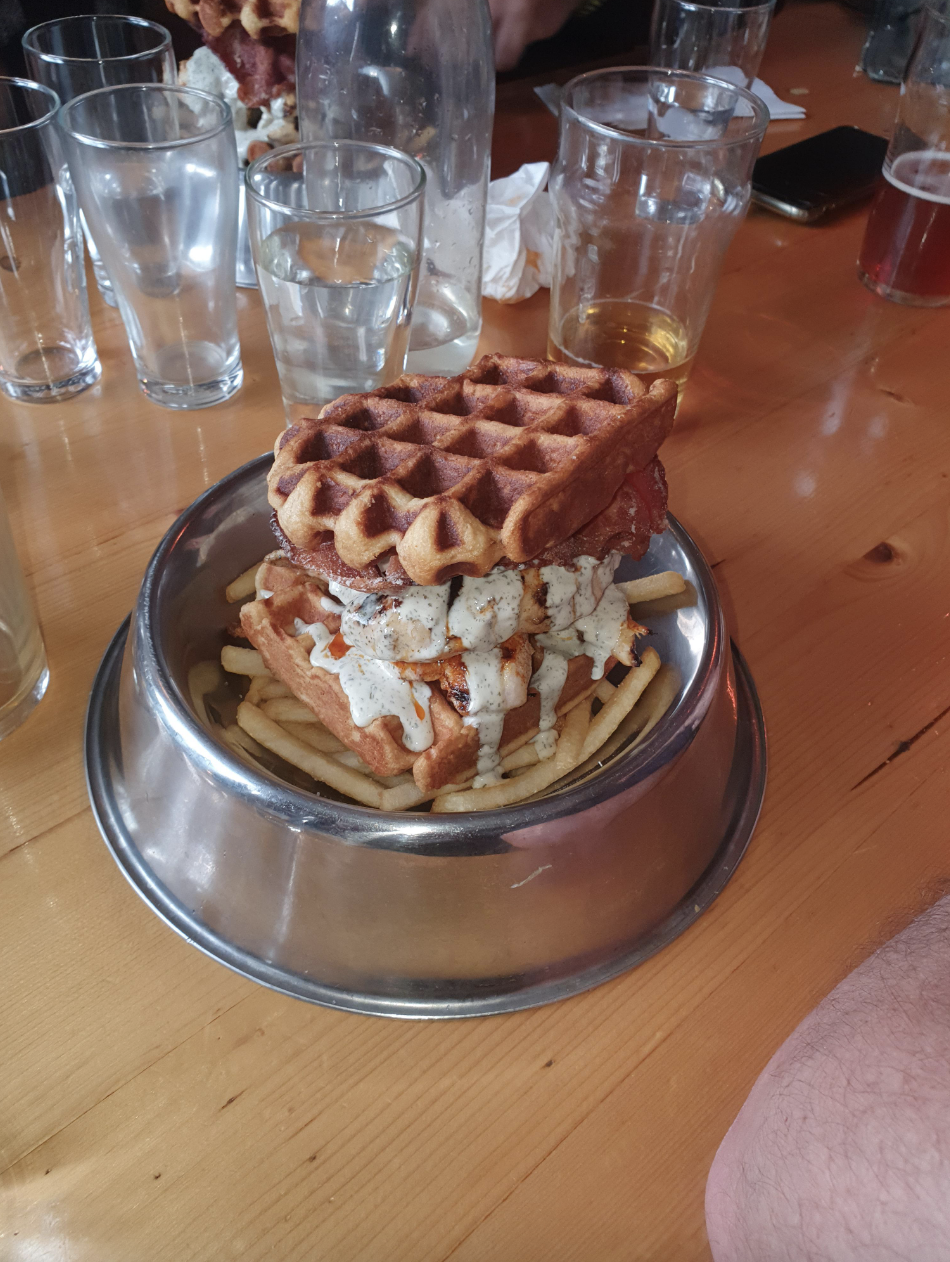 a dog bowl with human food