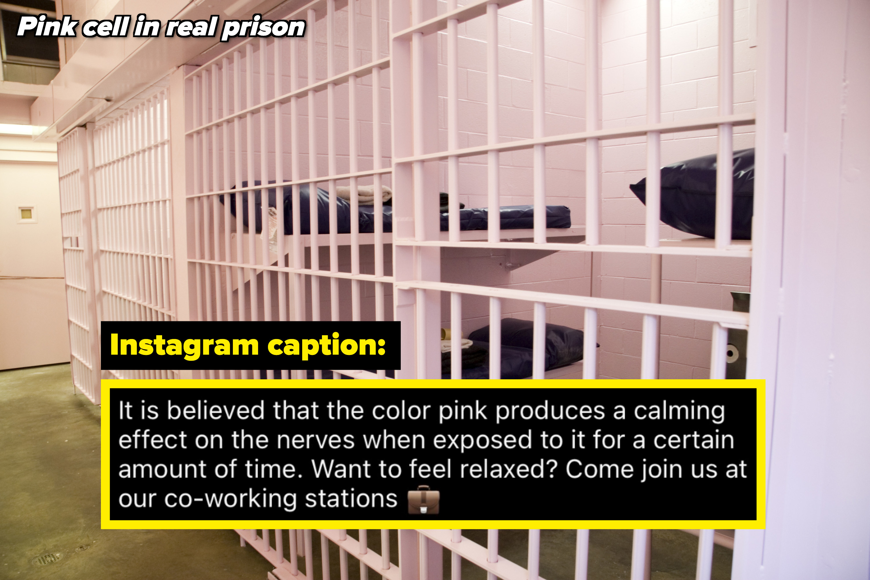 real prison with pink walls and the instagram caption from the apartments saying: &quot;it&#x27;s believed that the color pink produces a calming effect&quot;