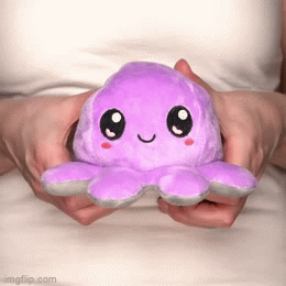 a gif of a person reversing the plushy to show both sides