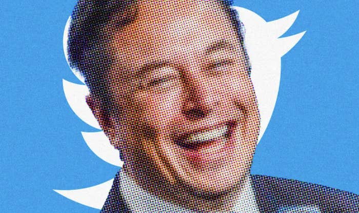 elon musk smirking in front of the twitter bird logo