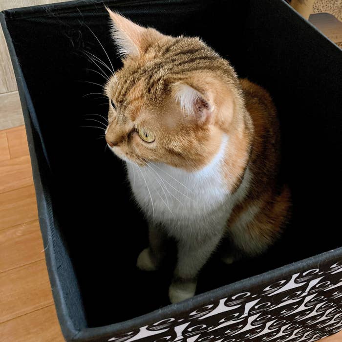 IKEA（イケア）のオススメの収納アイテム「DRÖNA ドローナボックス, ホワイト/ブラック 模様入り, 33x38x33cm」