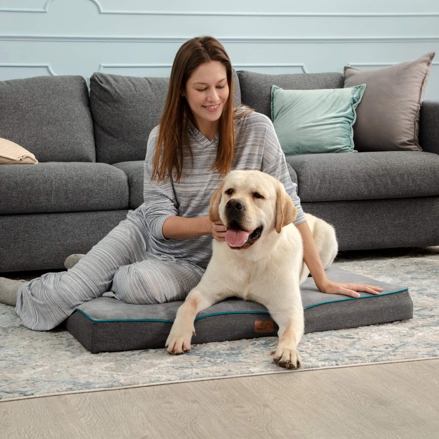 a person lounging with their large dog on the memory foam bed