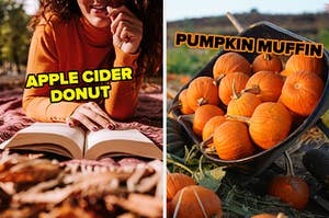左边是躺在地上看书的人，旁边是写着“苹果酒甜甜圈”的秋叶，右边是写着“南瓜松饼”的独轮手推车