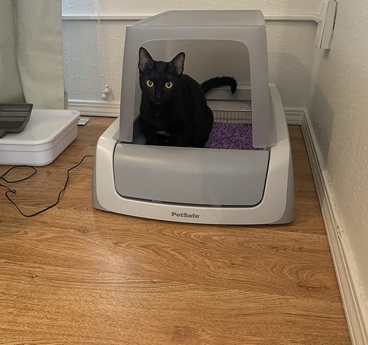 small black cat pooping inside gray and white self-cleaning litter box