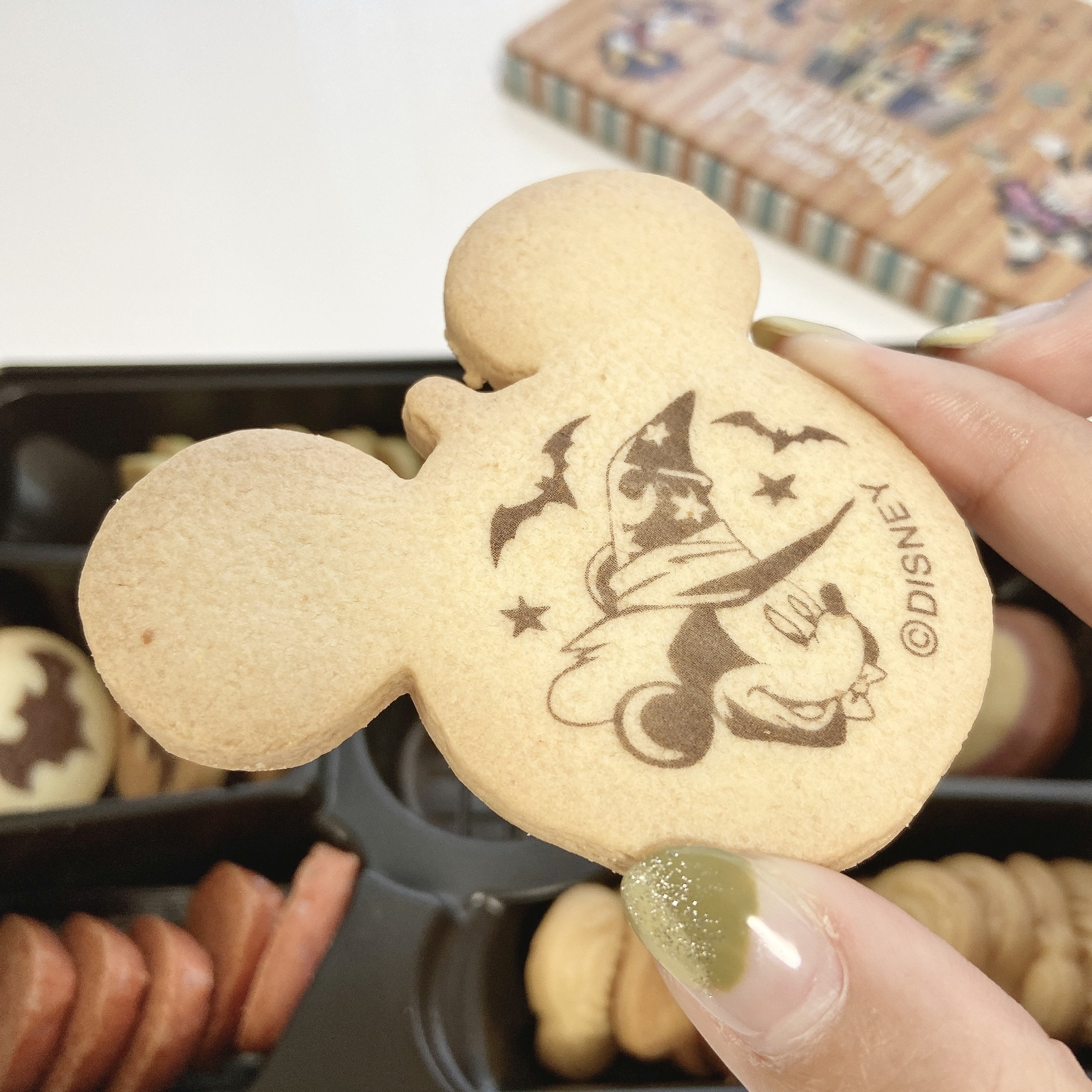 東京ディズニーランド（Tokyo Disneyland）のおすすめおみやげ「アソーテッド・クッキー缶」