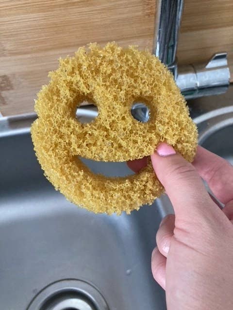 TikTok Viral Products: Scrub Daddy Damp Duster Review