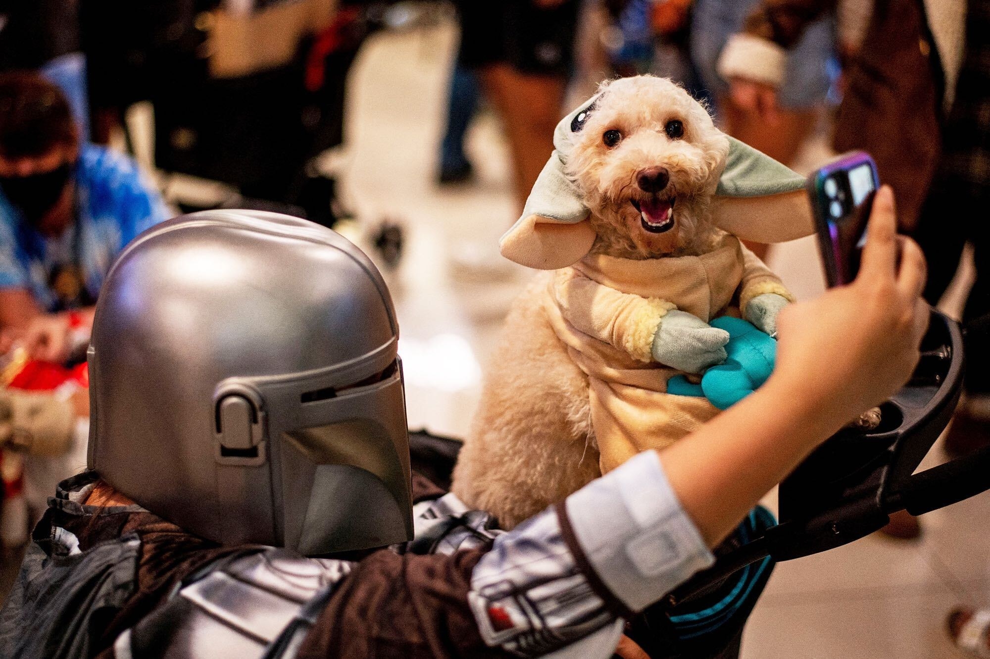 someone in a mandalorian mask takes a selfie with their dog, who is a fluffy tan guy dressed as yoda