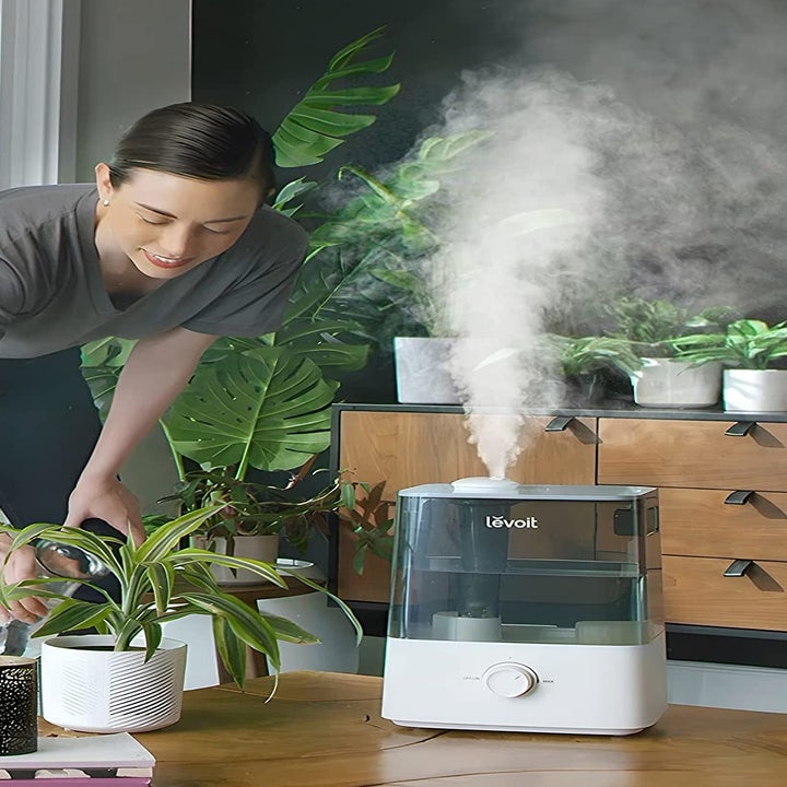 a person watering their plants next to the humidifier
