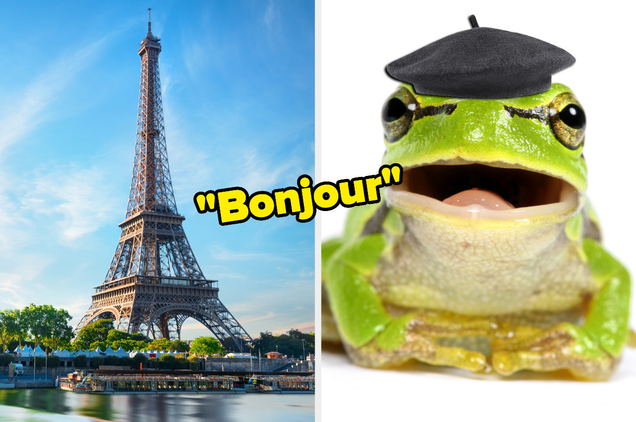 On the left, the Eiffel Tower, and on the right, a frog wearing a little beret with bonjour typed in the middle