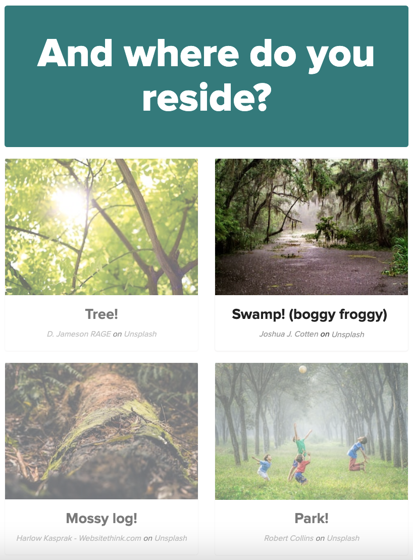 Frog Quizzes - 44