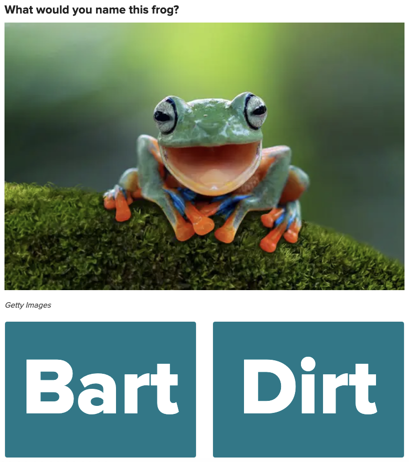A frog with its mouth open underneath the question what would you name this frog with the name choices Bart and Dirt typed below it