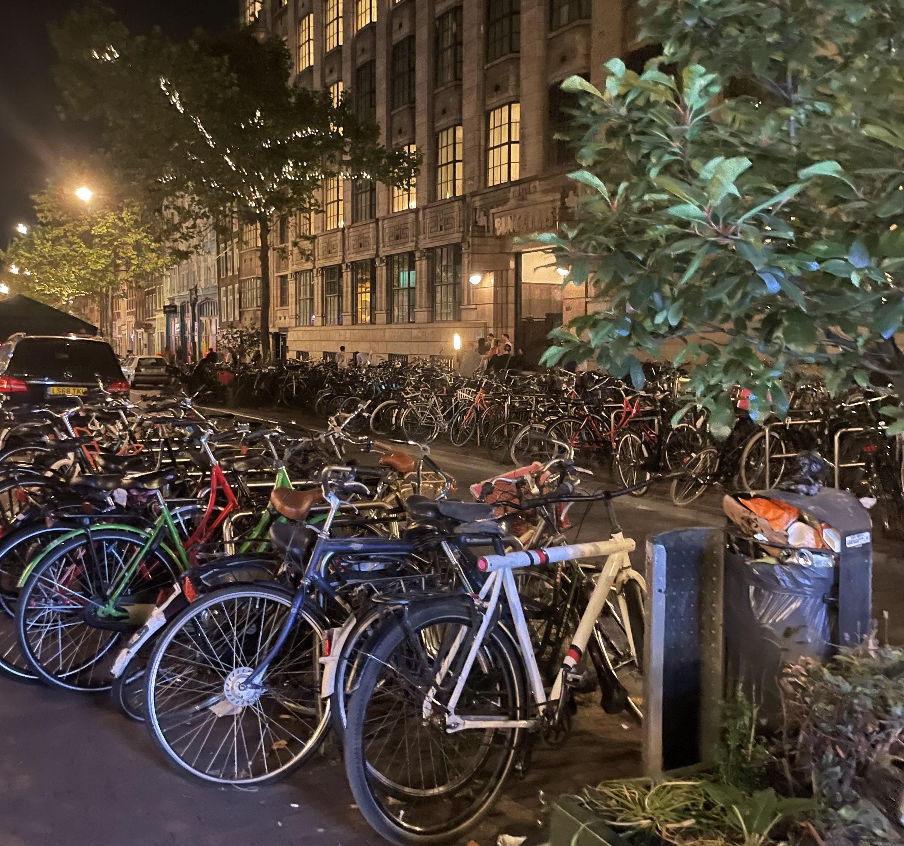 a huge amount of bikes tied up on either side of the canal