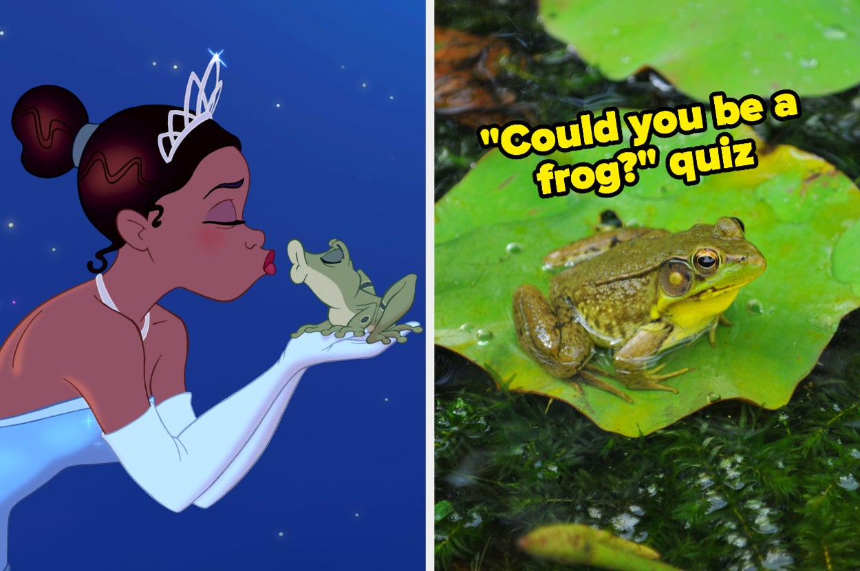On the left, Tiana puckering her lips to kiss Prince Naveen in his frog form in The Princess and the Frog, and on the right, a frog on a lily pad labeled could you be a frog quiz