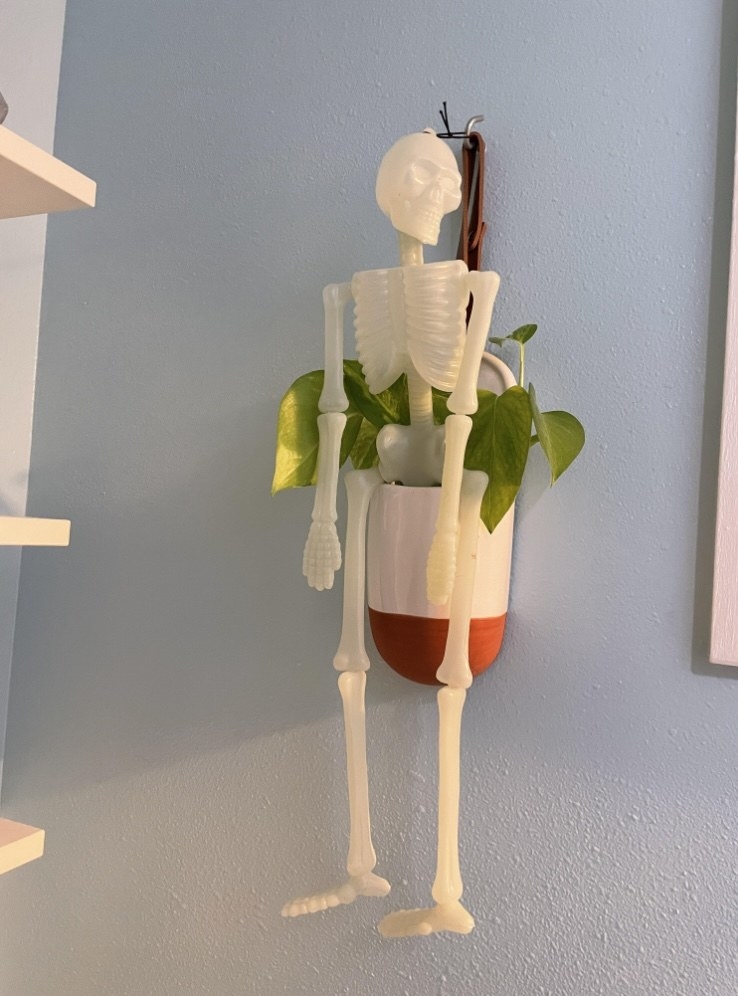 A skeleton on a plant