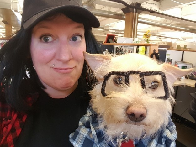 a dog their owner dressed up in a plaid shirt and fake glasses
