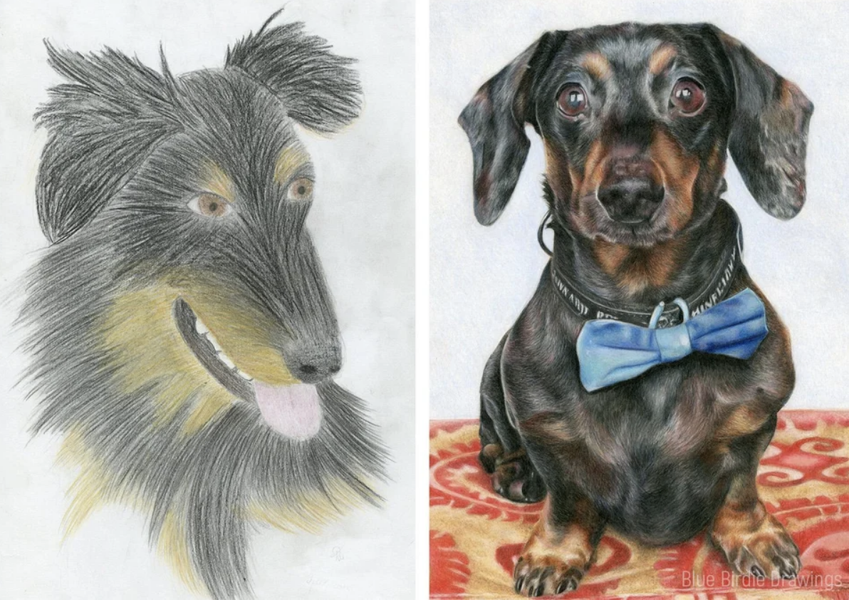 A basic drawing of a dog on the left and a much more detailed, lifelike drawing of a dog on the right