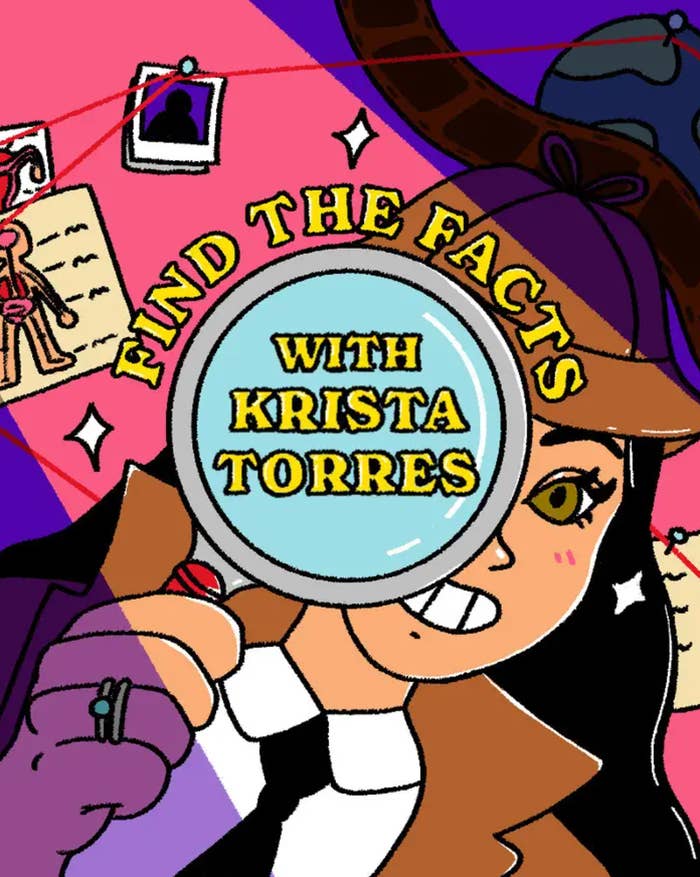 Find the Facts With Krista Torres artwork