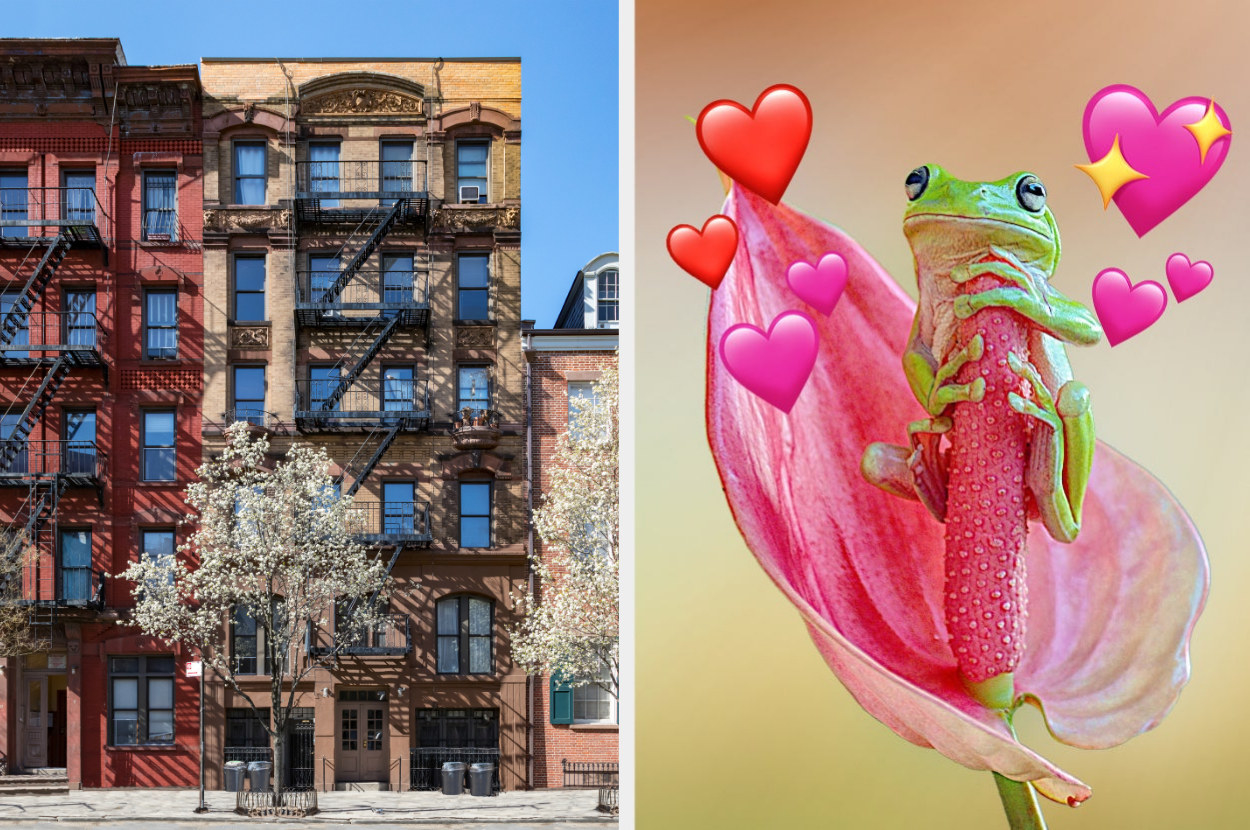 On the left, the exterior of a New York apartment building, and on the right, a frog hugging onto a flower surrounded by various heart emojis