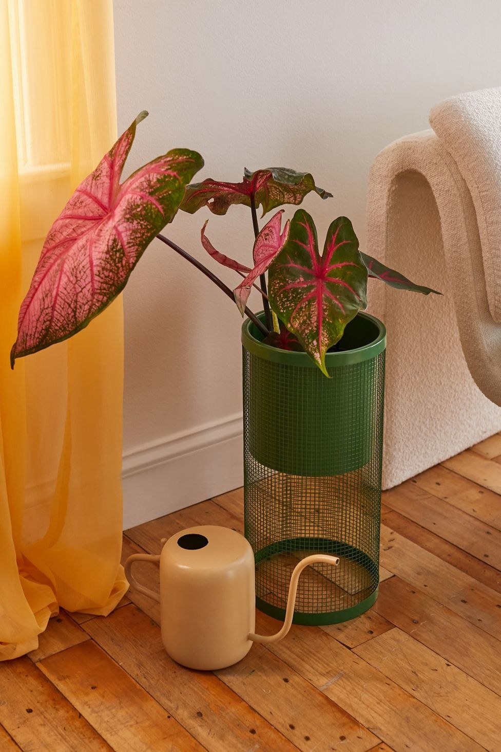 green mesh cylinder with a plant in the pot in the top portion