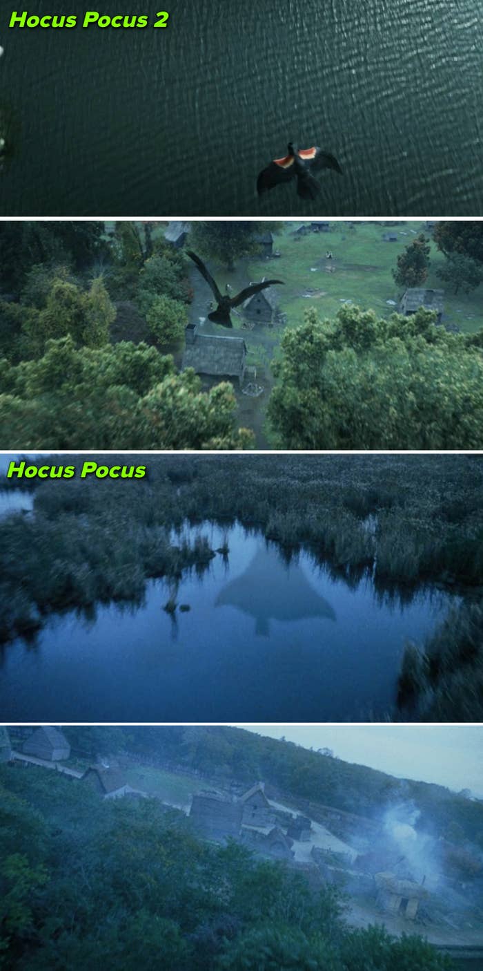 Overhead shots from both films, showing bodies of water, trees, and houses