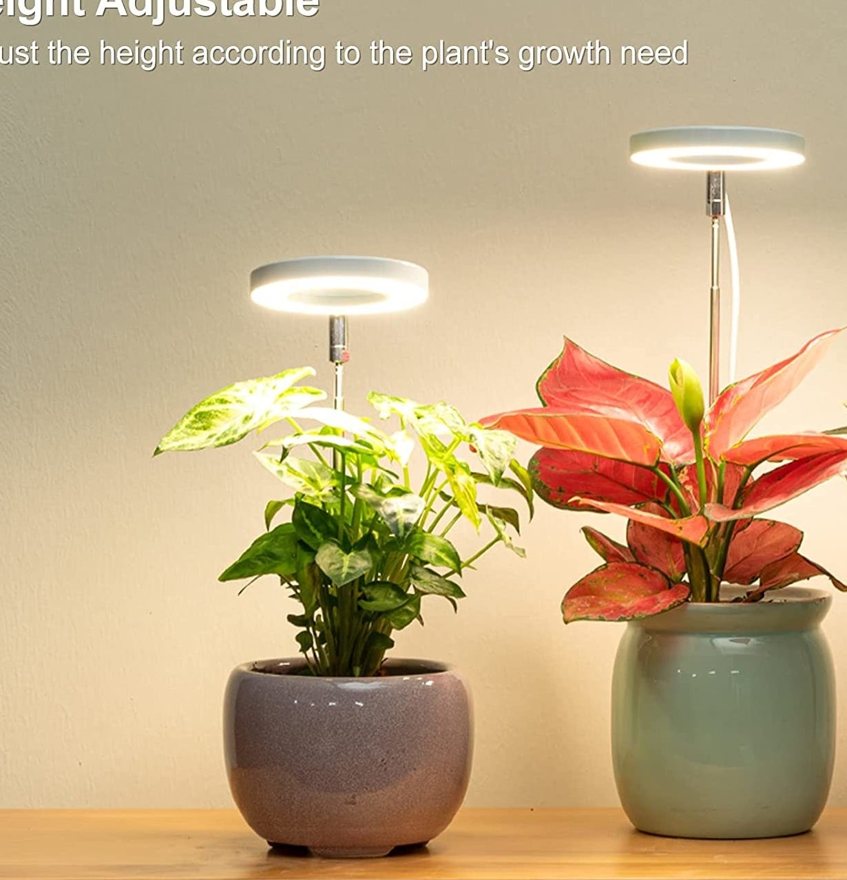 a pair of potted plants with the grow lights inserted into the pots