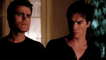 stefan and damon from the vampire diaries looking at each other