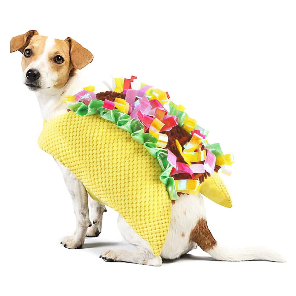 dog wearing taco costume