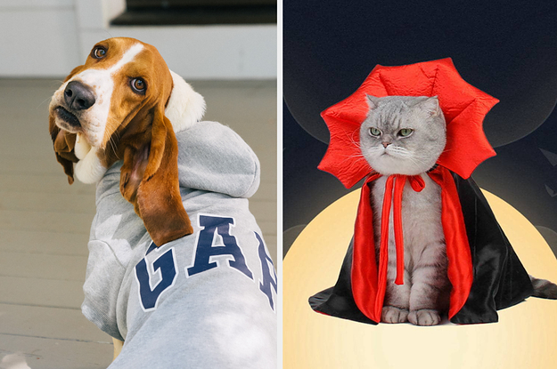 Best pet Halloween costumes of 2022: Is your pup ready for the paw-ty?