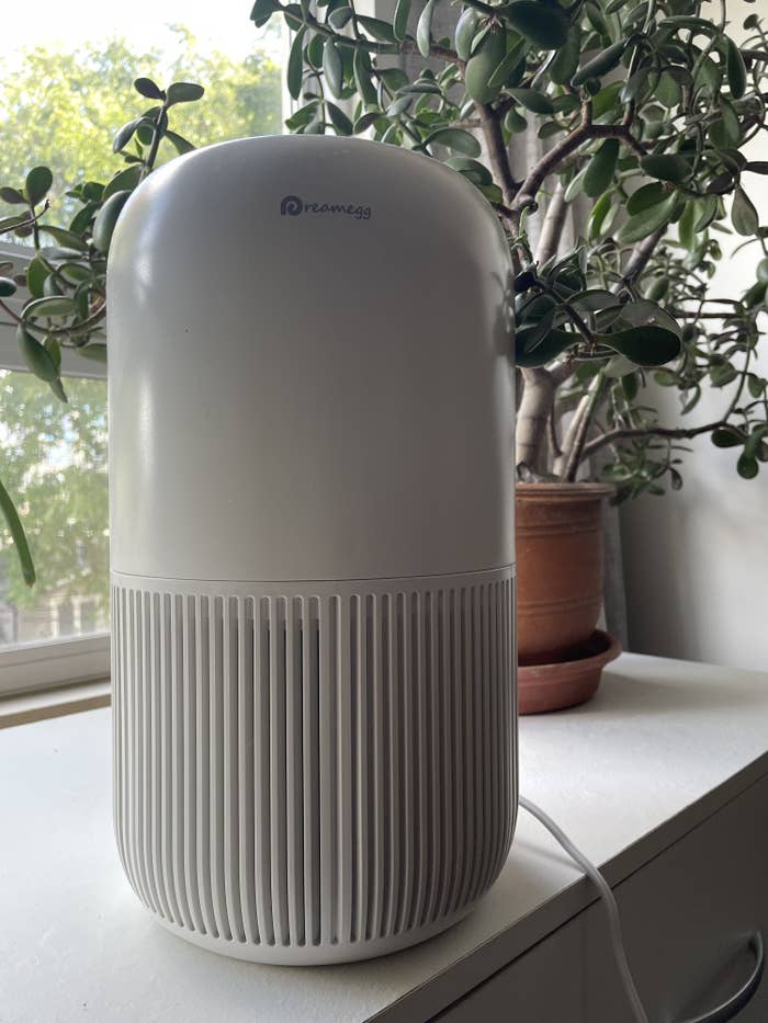 the air purifier on a dresser beside a large jade plant