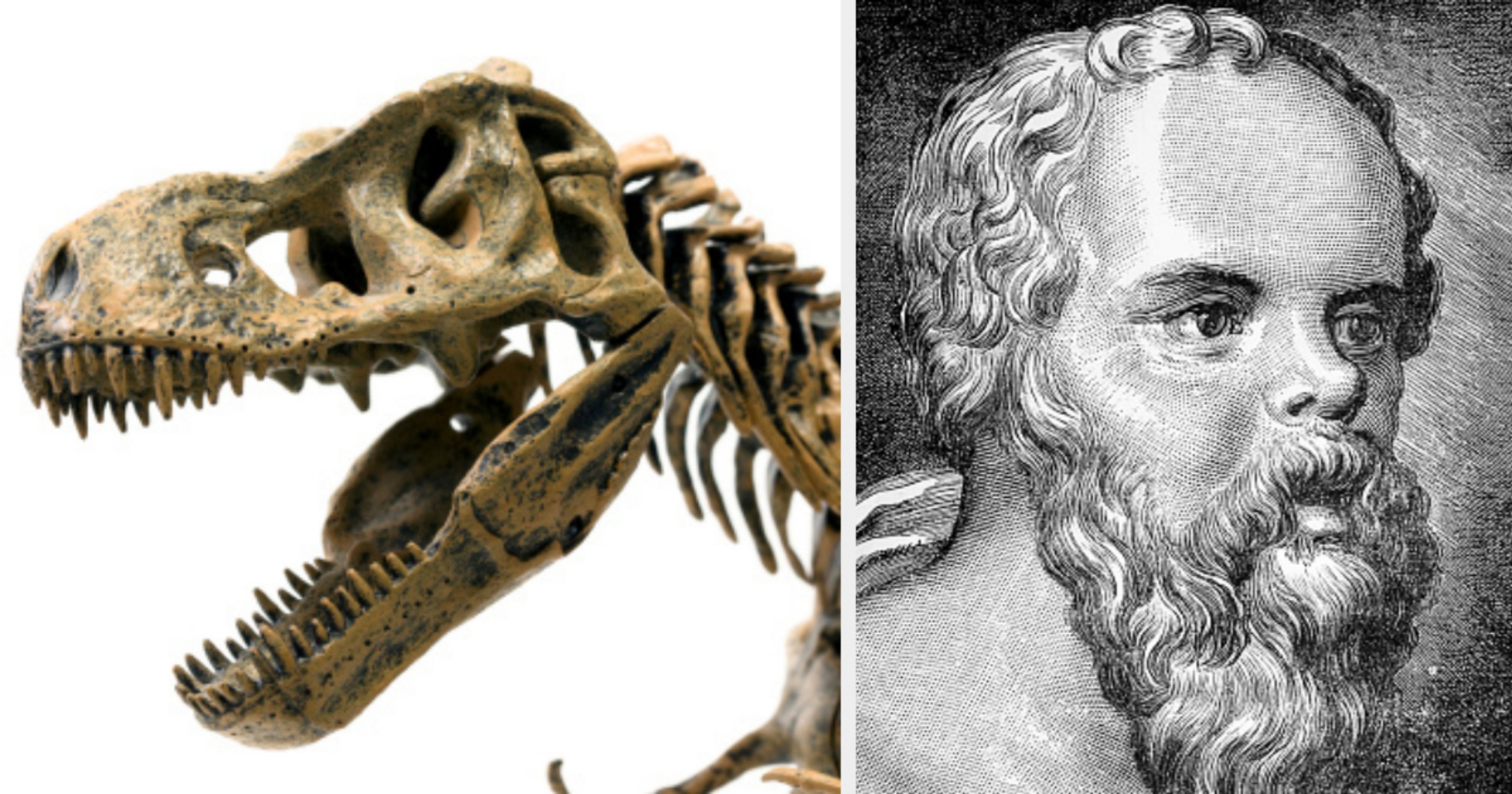 Difficult History Trivia Quiz