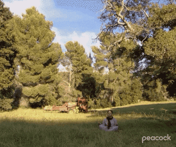 a gif of Dwight doing yoga in the forest