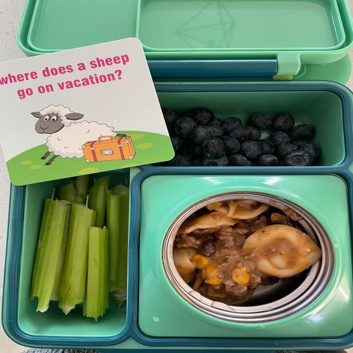 school lunch box