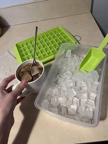 Reviewer's ice cube tray is shown on a kitchen countertop