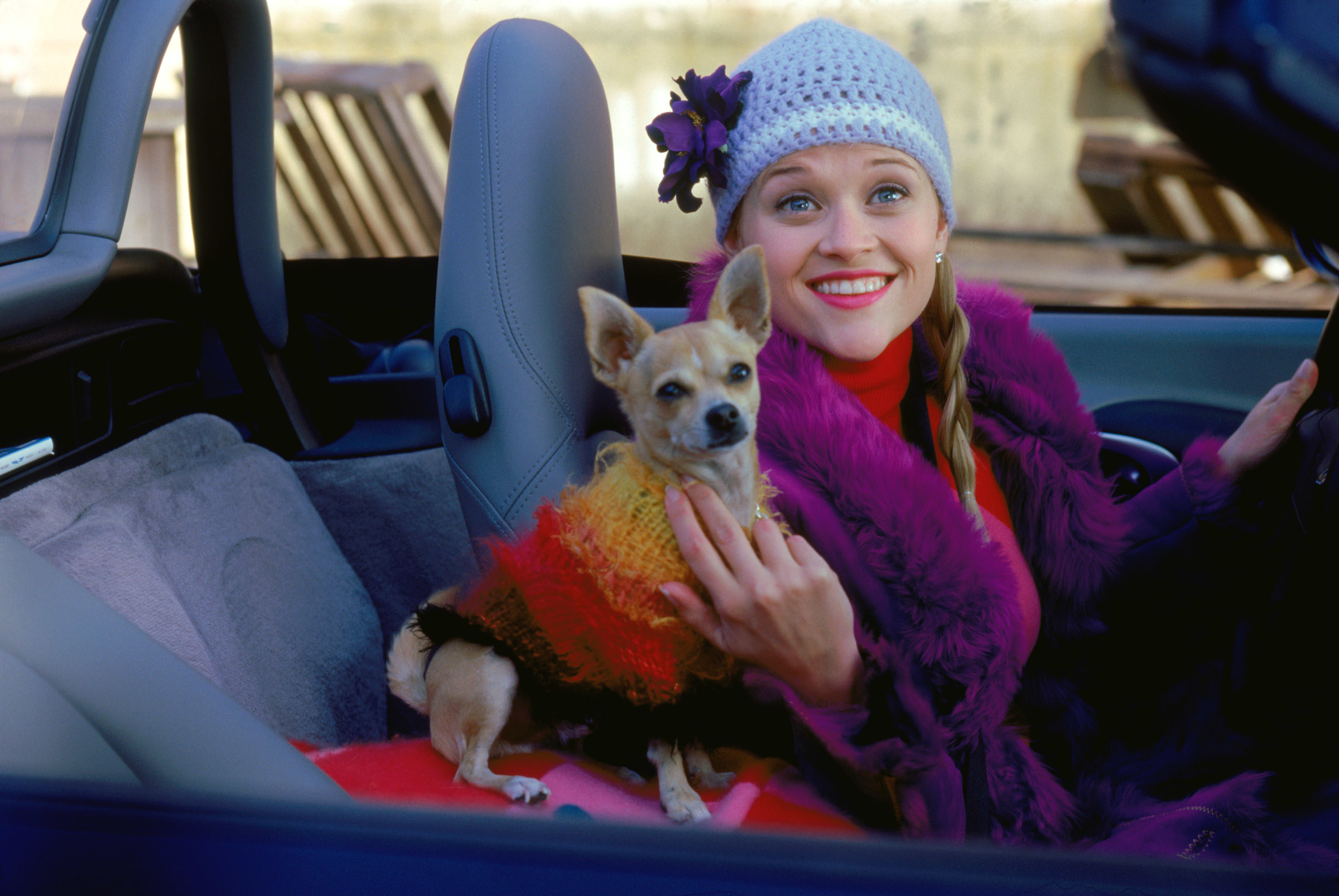 Elle in a knit hat and fur driving a car with her Chihuahua next to her